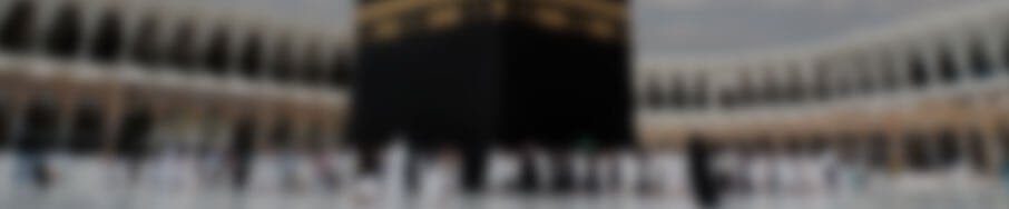 Ruling on going on Hajj with Elderly